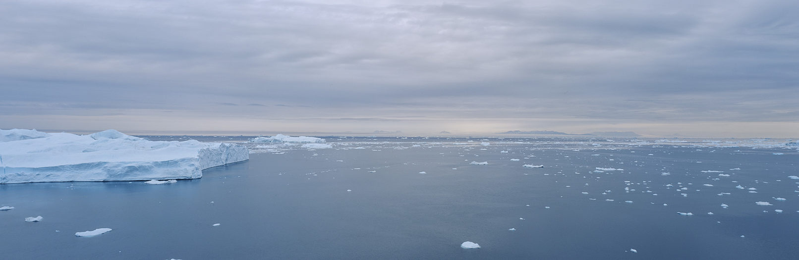 Disko Bucht, Juli 2011