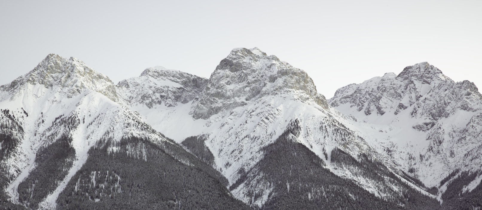 Dreigestirn #2, 24.1.2021