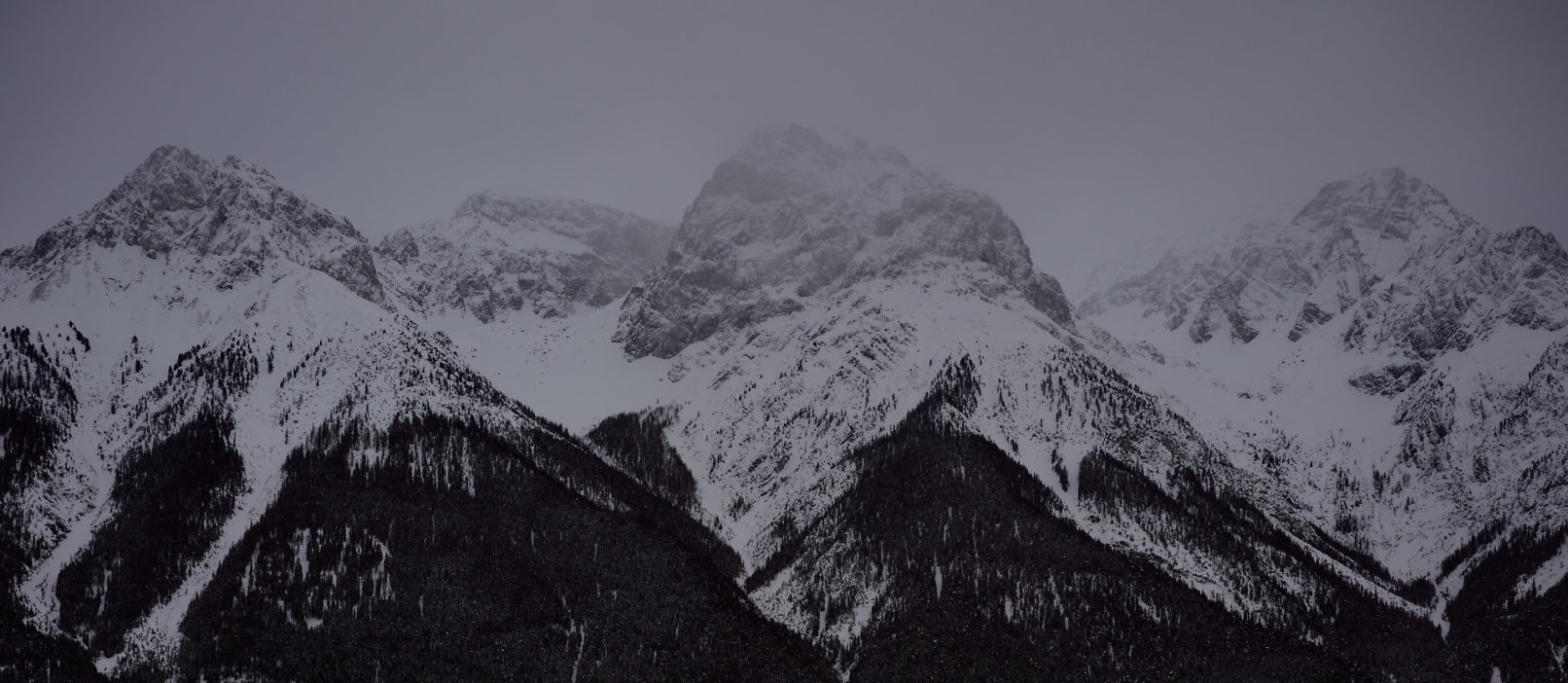 Dreigestirn #3, 26.1.2021