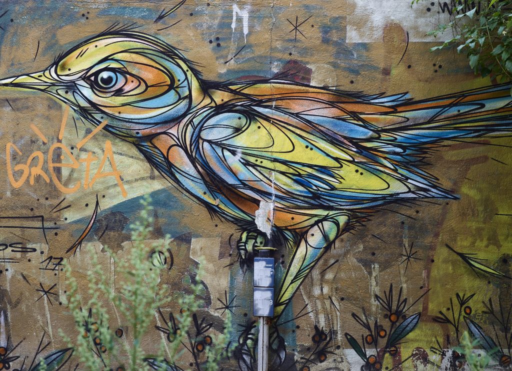 Paradiesvogel, Hamburg, 2022